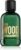 Green Wood Eau de toilette homme de Dsquared2 100 ml